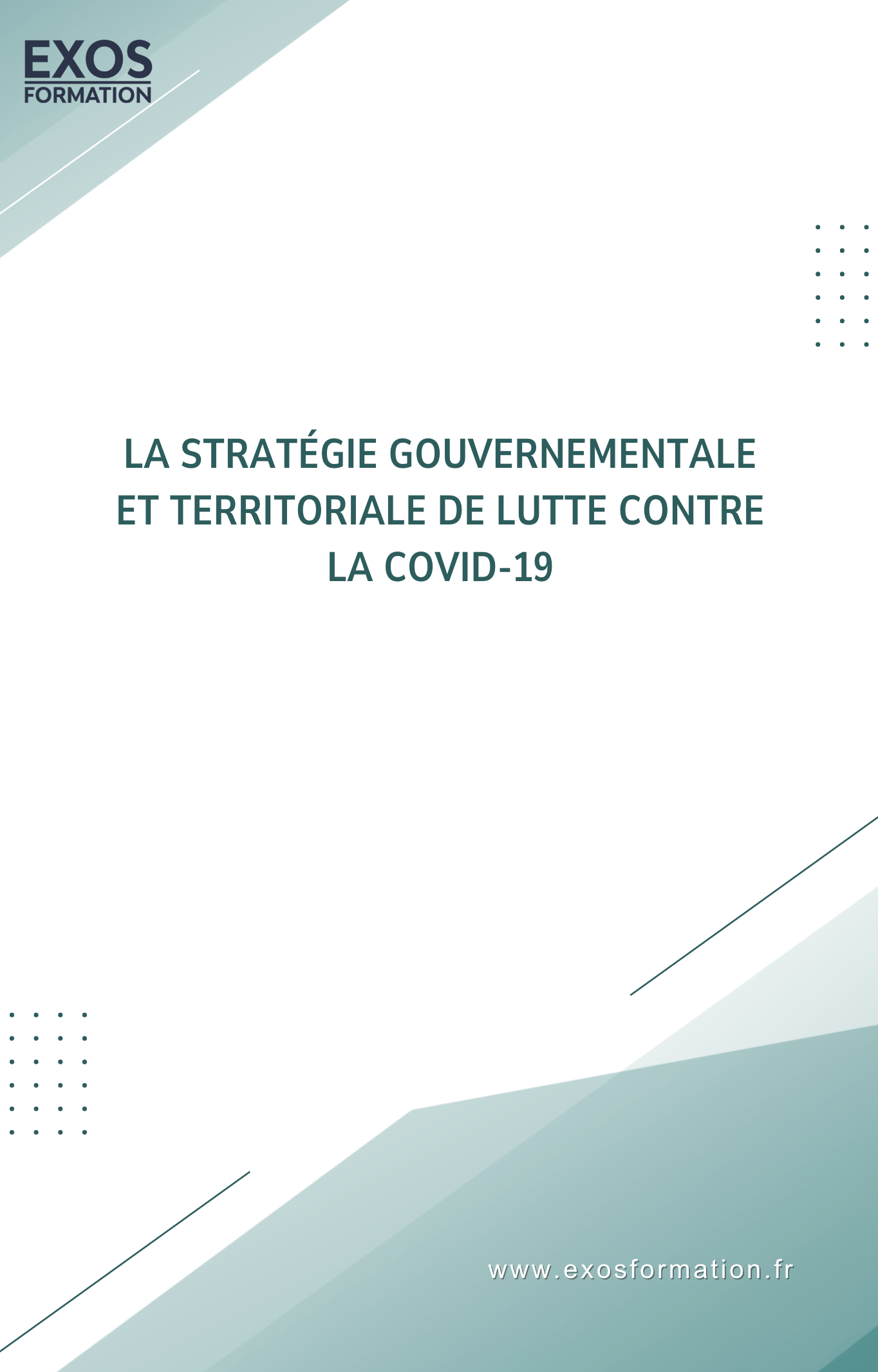 La Stratégie Gouvernementale De Lutte Contre La Covid 19