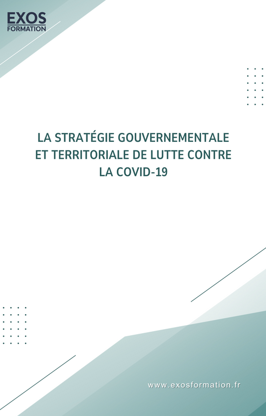 La Stratégie Gouvernementale De Lutte Contre La Covid 19