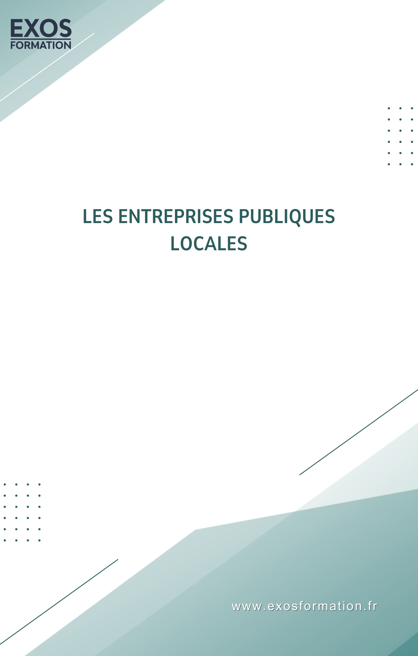 Les entreprises publiques locales