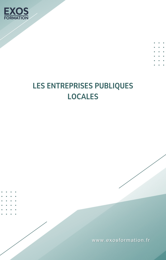 Les entreprises publiques locales