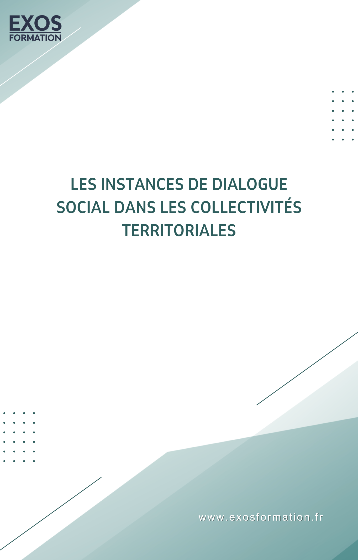 Les instances de dialogue social dans les collectivités territoriales