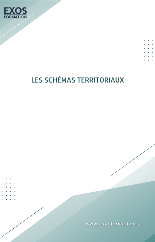 Les schémas territoriaux