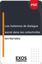 Charger l&#39;image dans la galerie, Les instances de dialogue social dans les collectivités territoriales
