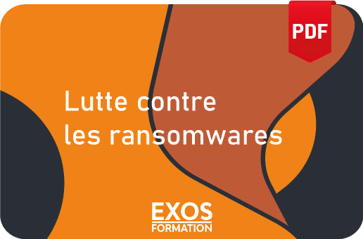 Rapport sur la lutte contre les ransomwares